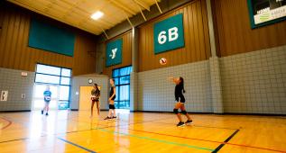 courts