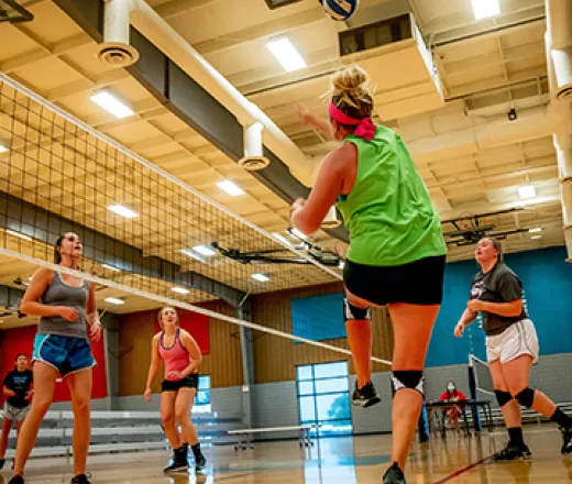 Volleyball Mobile Banner